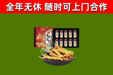 九龙县烟酒回收冬虫夏草礼盒.jpg